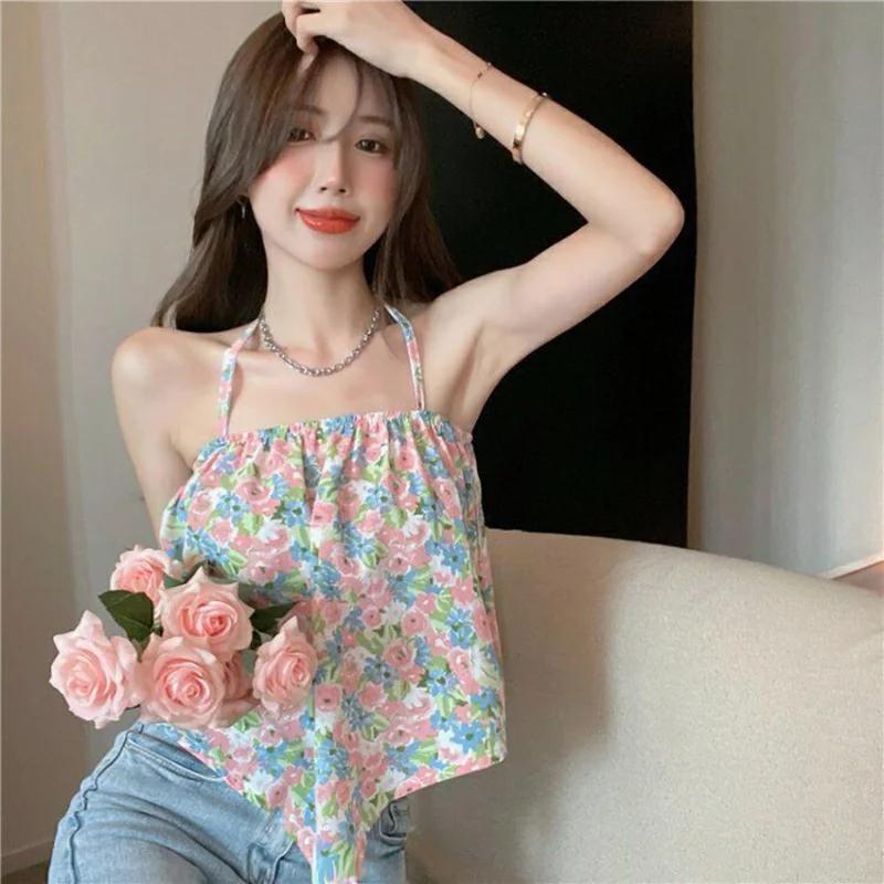  鸮 Ȧ ũ, ѱ ,  м,  غ  ũž,  Ÿ,  ϶ 